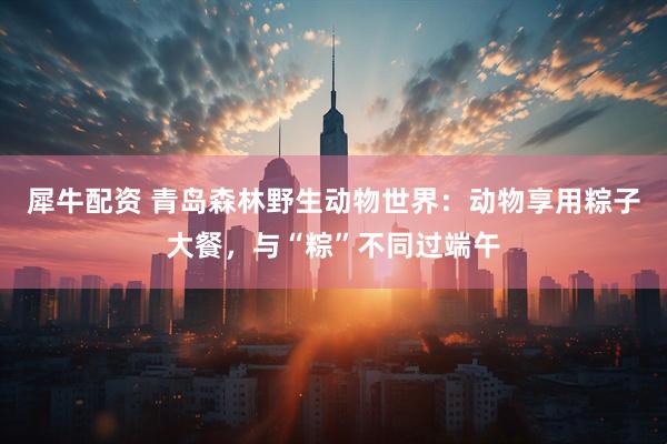 犀牛配资 青岛森林野生动物世界：动物享用粽子大餐，与“粽”不同过端午