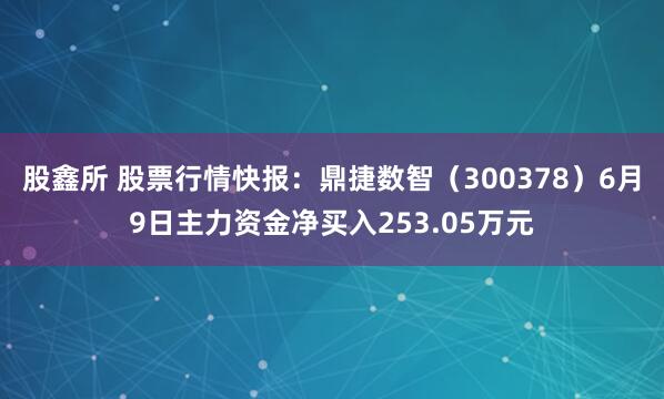 股鑫所 股票行情快报：鼎捷数智（300378）6月9日主力资金净买入253.05万元