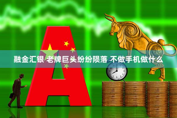 融金汇银 老牌巨头纷纷陨落 不做手机做什么