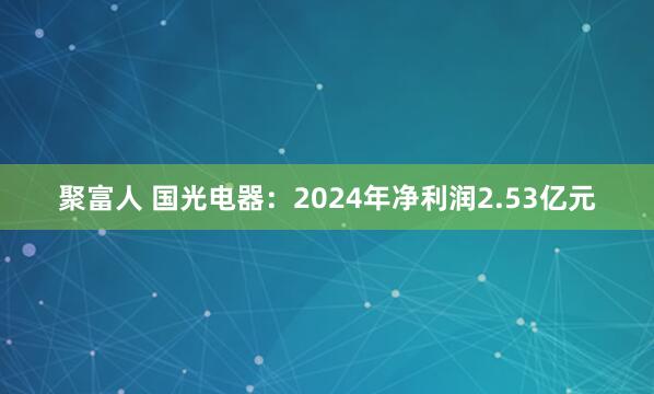 聚富人 国光电器：2024年净利润2.53亿元