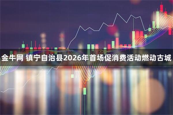 金牛网 镇宁自治县2026年首场促消费活动燃动古城