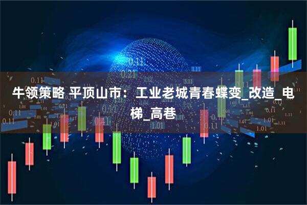 牛领策略 平顶山市：工业老城青春蝶变_改造_电梯_高巷